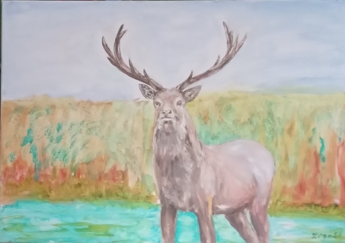 Jeleń - władca lasu